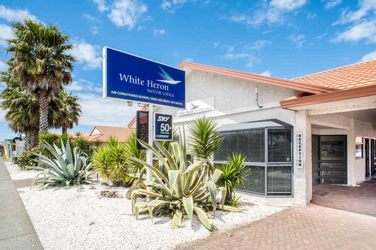 White Heron Motor Lodge Gisborne Exterior photo